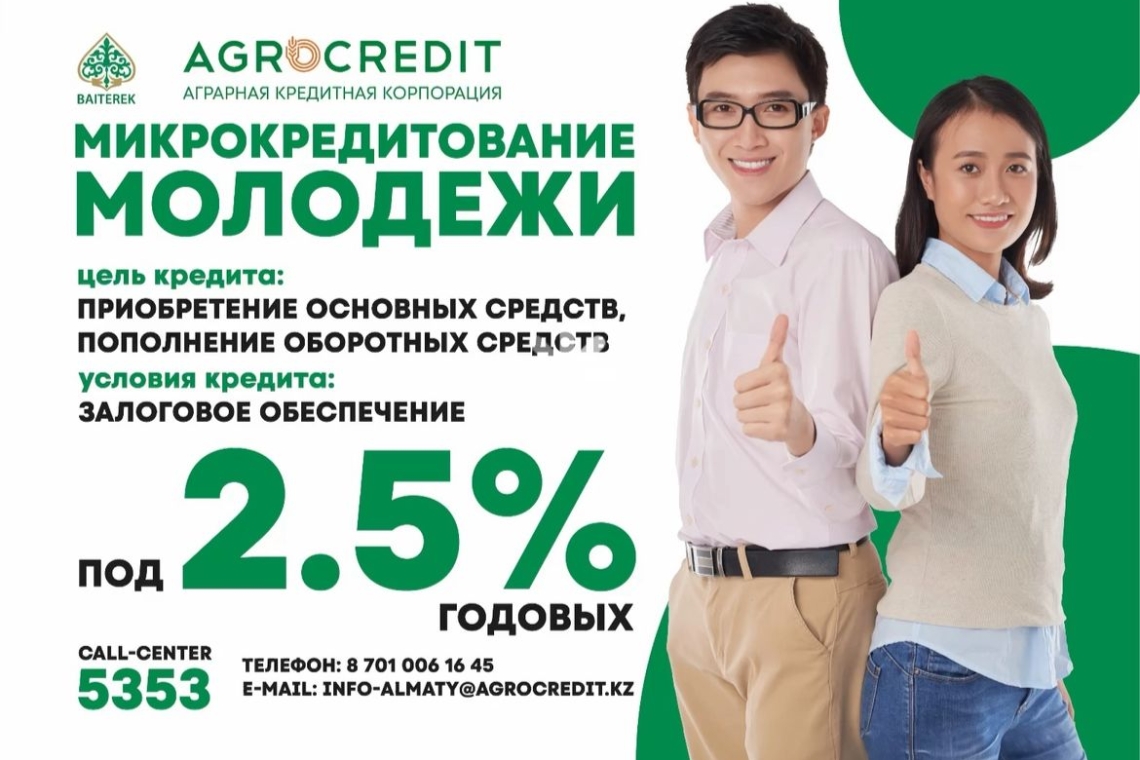 Жастарды шағын несиелеу